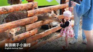 動物導覽